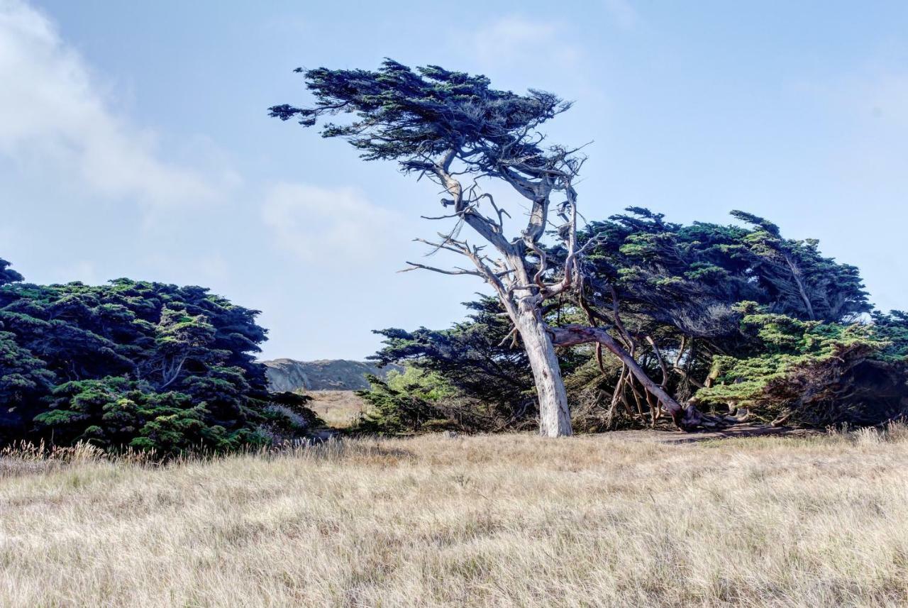 Bayside Cottage Bodega Bay Luaran gambar
